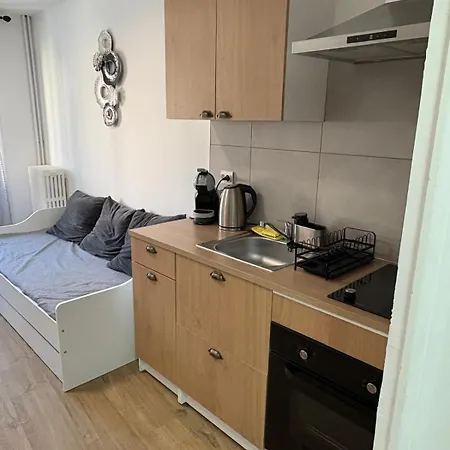 Les Balcons Du 115 Bis - Standing Lägenhet La Bourboule